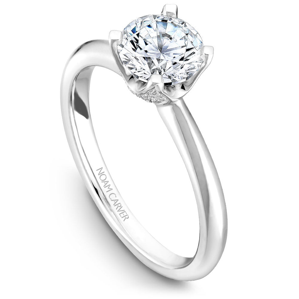 Noam Carver Solitaire with Diamond Detail Setting Engagement Ring B027-03A