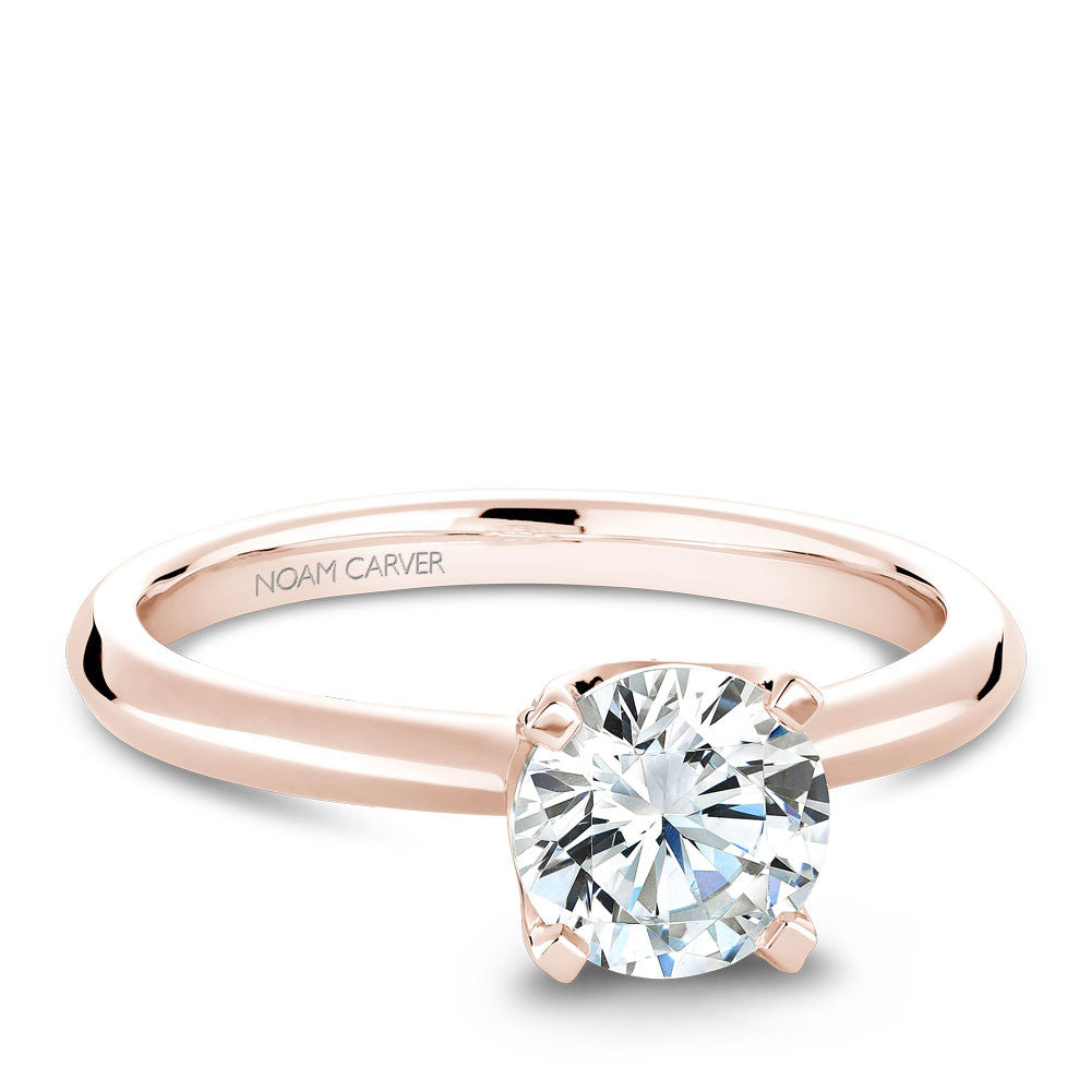 Noam Carver Solitaire with Diamond Detail Setting Engagement Ring B027-03A