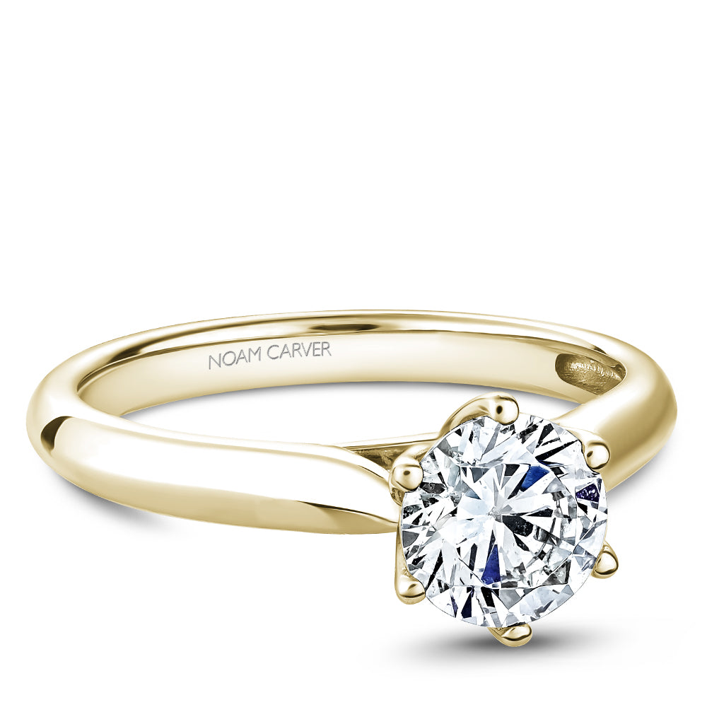 Noam Carver Classic Solitaire Engagement Ring with Diamond Detail Setting B200-01A