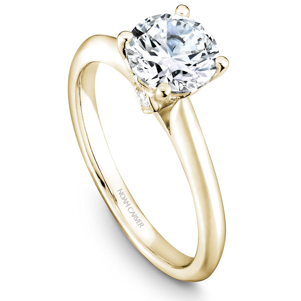 Noam Carver Solitaire with Diamond Detail Engagement Ring B143-01A